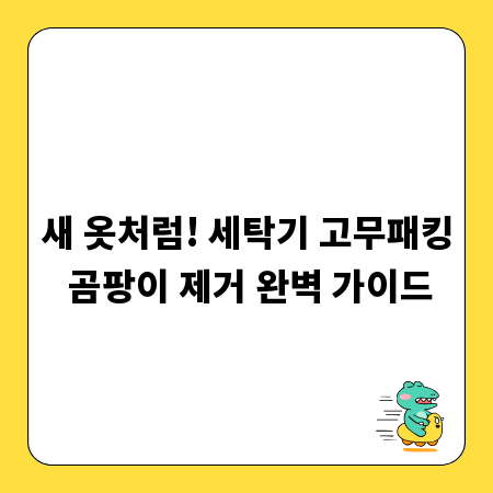 새 옷처럼! 세탁기 고무패킹 곰팡이 제거 완벽 가이드