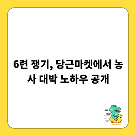 6련 쟁기, 당근마켓에서 농사 대박 노하우 공개