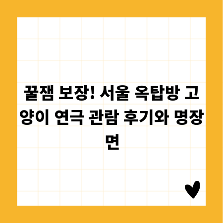 꿀잼 보장! 서울 옥탑방 고양이 연극 관람 후기와 명장면