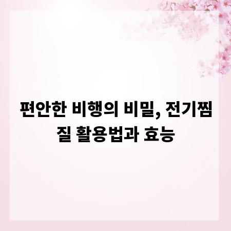 편안한 비행의 비밀, 전기찜질 활용법과 효능