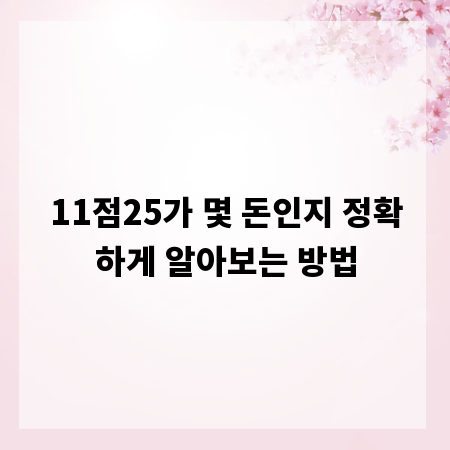 11점25가 몇 돈인지 정확하게 알아보는 방법