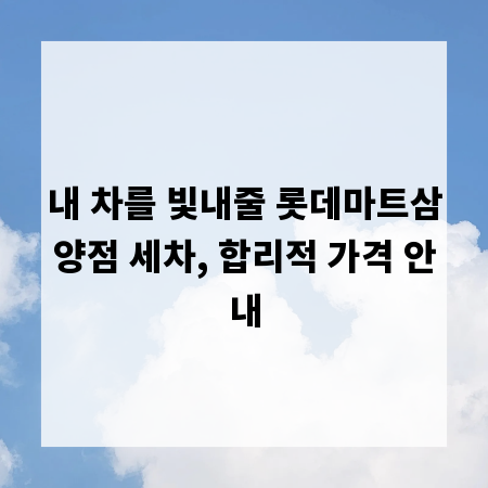 내 차를 빛내줄 롯데마트삼양점 세차, 합리적 가격 안내