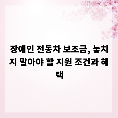 장애인 전동차 보조금, 놓치지 말아야 할 지원 조건과 혜택