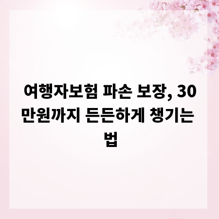 여행자보험 파손 보장, 30만원까지 든든하게 챙기는 법