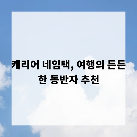 캐리어 네임택, 여행의 든든한 동반자 추천