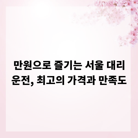 만원으로 즐기는 서울 대리운전, 최고의 가격과 만족도