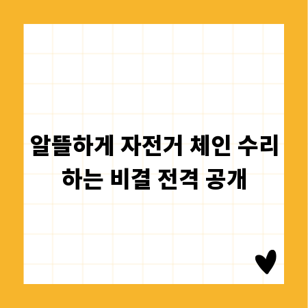 알뜰하게 자전거 체인 수리하는 비결 전격 공개