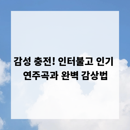 감성 충전! 인터불고 인기 연주곡과 완벽 감상법