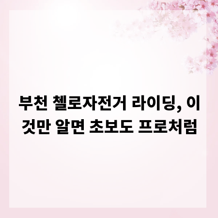 부천 첼로자전거 라이딩, 이것만 알면 초보도 프로처럼