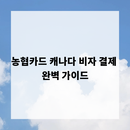 농협카드 캐나다 비자 결제 완벽 가이드