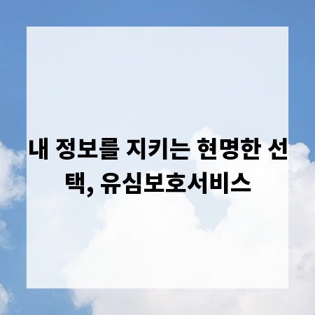 내 정보를 지키는 현명한 선택, 유심보호서비스