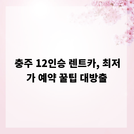 충주 12인승 렌트카, 최저가 예약 꿀팁 대방출