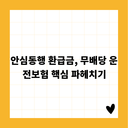 안심동행 환급금, 무배당 운전보험 핵심 파헤치기