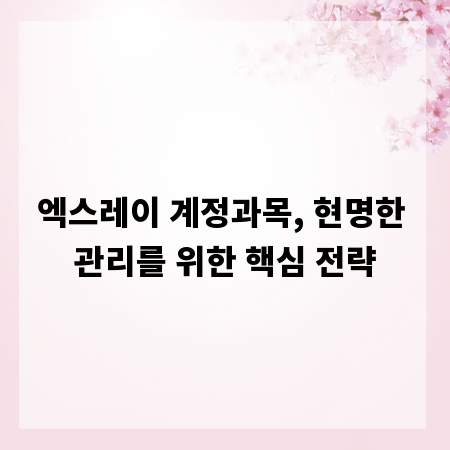 엑스레이 계정과목, 현명한 관리를 위한 핵심 전략