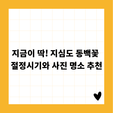지금이 딱! 지심도 동백꽃 절정시기와 사진 명소 추천