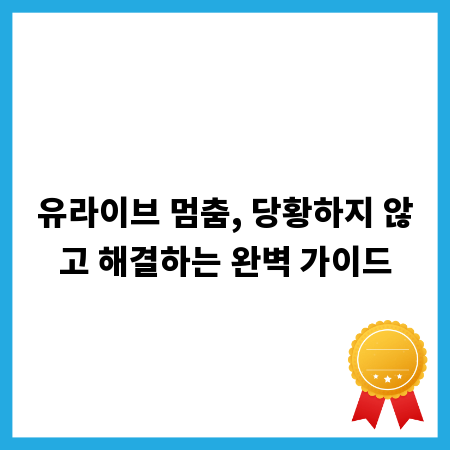 유라이브 멈춤, 당황하지 않고 해결하는 완벽 가이드