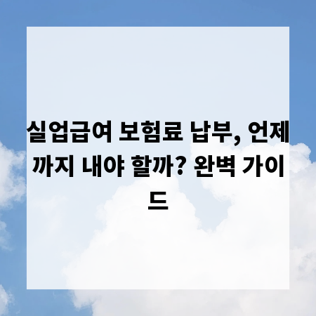 실업급여 보험료 납부, 언제까지 내야 할까? 완벽 가이드