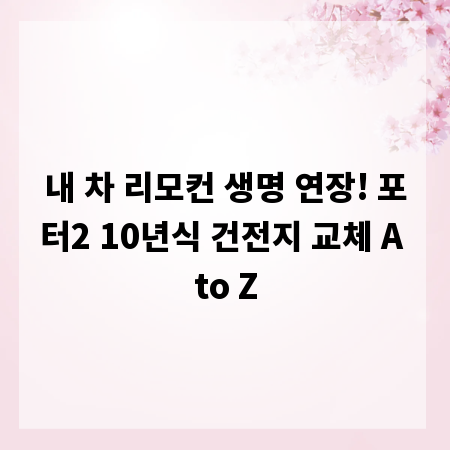 내 차 리모컨 생명 연장! 포터2 10년식 건전지 교체 A to Z