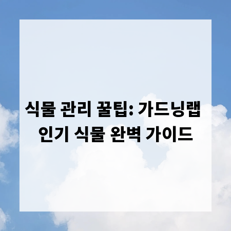 식물 관리 꿀팁: 가드닝랩 인기 식물 완벽 가이드