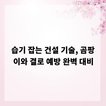 습기 잡는 건설 기술, 곰팡이와 결로 예방 완벽 대비