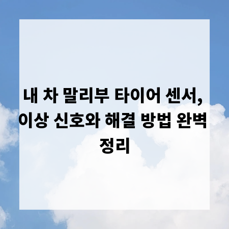 내 차 말리부 타이어 센서, 이상 신호와 해결 방법 완벽 정리