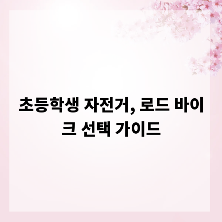 초등학생 자전거, 로드 바이크 선택 가이드